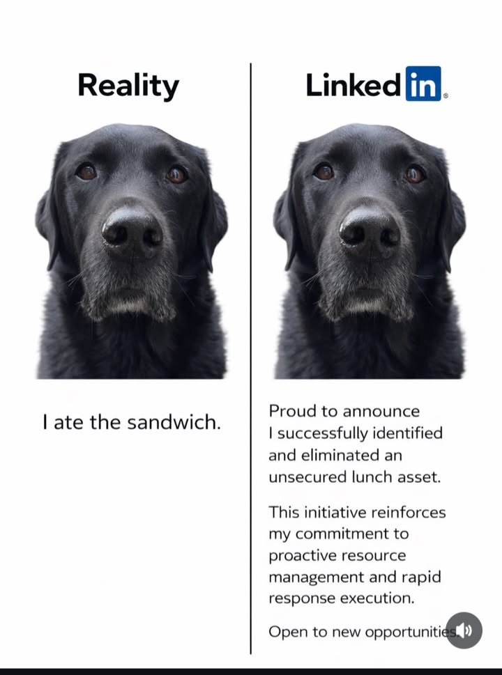 Reality Linked in I ate the sandwich. Proud to announce I successfully identified and eliminated an unsecured lunch asset. This initiative reinforces my commitment to proactive resource management and rapid response execution. Open to new opportunities.»