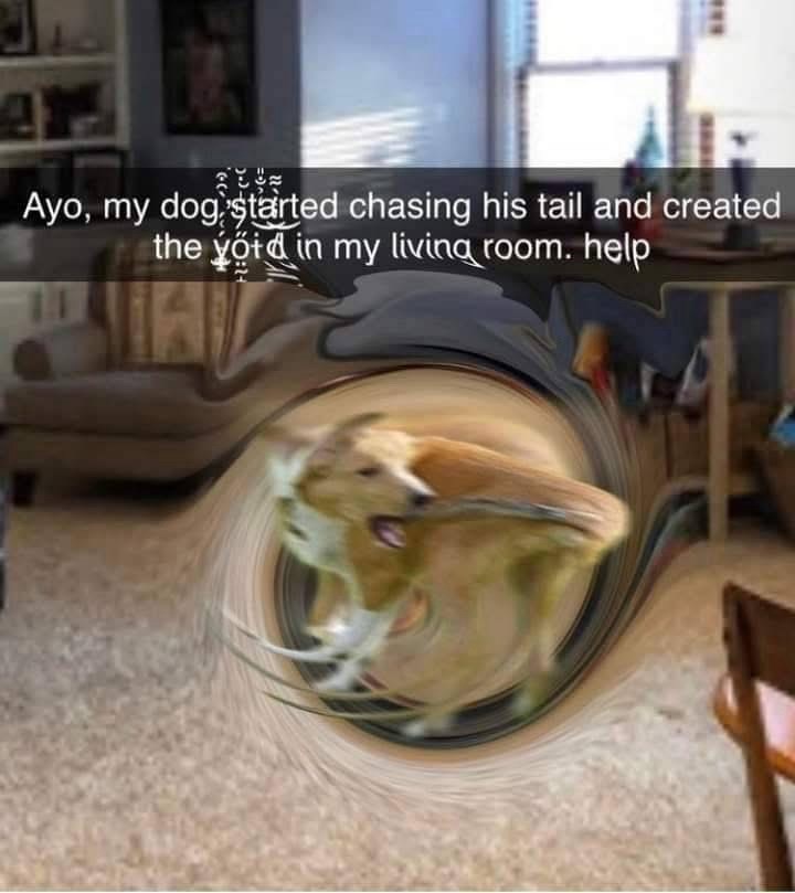 Ayo, my dog started chasing his tail and created the void in my living room. help