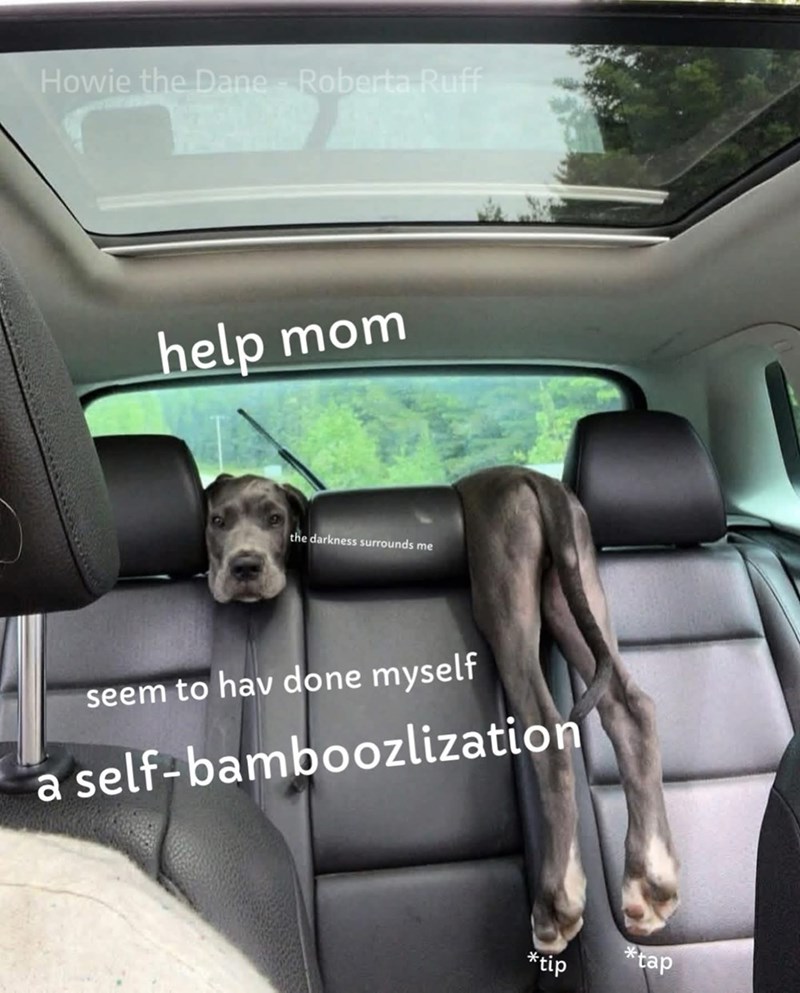 Howie the Dane - Roberta Ruff help mom the darkness surrounds me seem to hav done myself a self-bamboozlization *tip *tap