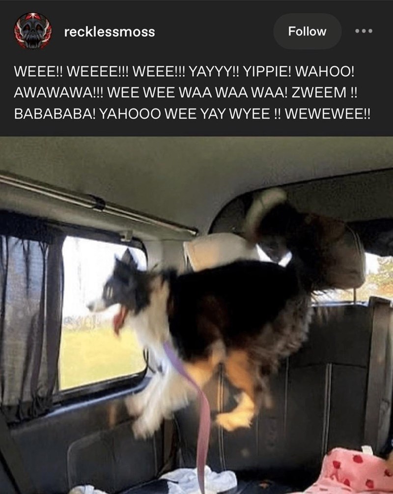 recklessmoss Follow WEEE!! WEEEE!!! WEEE!!! YAYYY!! YIPPIE! WAHOO! AWAWAWA!!! WEE WEE WAA WAA WAA! ZWEEM !! BABABABA! YAHOOO WEE YAY WYEE !! WEWEWEE!! 60