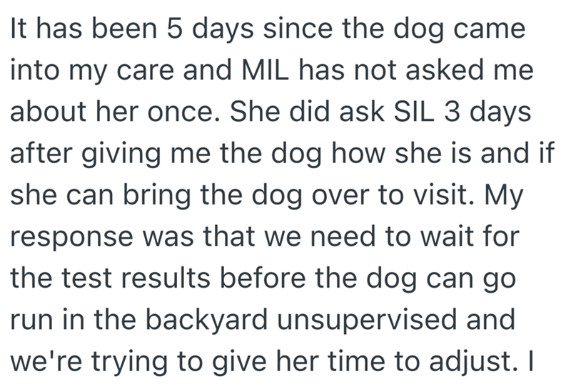 It has been 5 days since the dog came into my care and MIL has not asked me about her once. She did ask SIL 3 days after giving me the dog how she is and if she can bring the dog over to visit. My response was that we need to wait for the test results before the dog can go run in the backyard unsupervised and we're trying to give her time to adjust. I