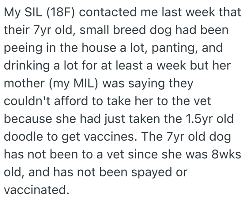 My SIL (18F) contacted me last week that their 7yr old, small breed dog had been peeing in the house a lot, panting, and drinking a lot for at least a week but her mother (my MIL) was saying they couldn't afford to take her to the vet because she had just taken the 1.5yr old doodle to get vaccines. The 7yr old dog has not been to a vet since she was 8wks old, and has not been spayed or vaccinated.