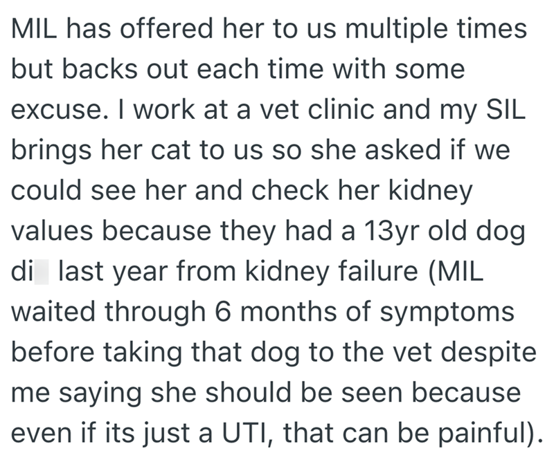 MIL has offered her to us multiple times but backs out each time with some excuse. I work at a vet clinic and my SIL brings her cat to us so she asked if we could see her and check her kidney values because they had a 13yr old dog di last year from kidney failure (MIL waited through 6 months of symptoms before taking that dog to the vet despite me saying she should be seen because even if its just a UTI, that can be painful).