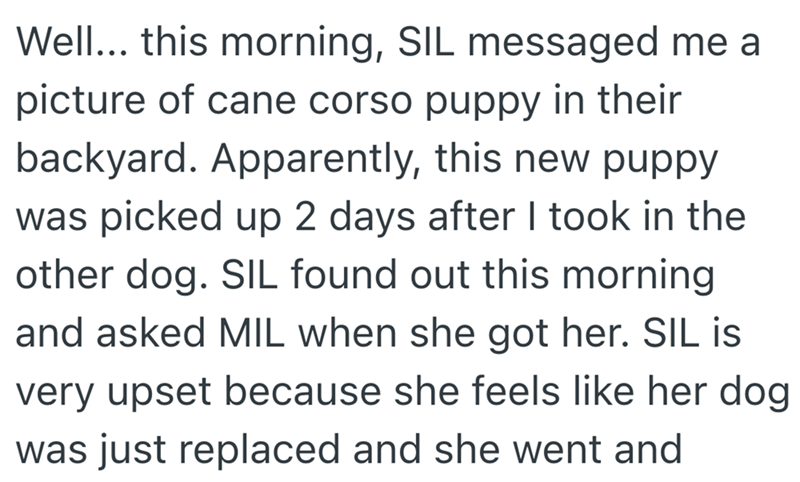 Well... this morning, SIL messaged me a picture of cane corso puppy in their backyard. Apparently, this new puppy was picked up 2 days after I took in the other dog. SIL found out this morning and asked MIL when she got her. SIL is very upset because she feels like her dog was just replaced and she went and