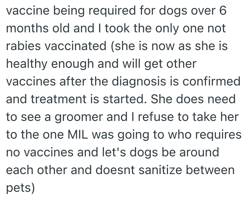 vaccine being required for dogs over 6 months old and I took the only one not rabies vaccinated (she is now as she is healthy enough and will get other vaccines after the diagnosis is confirmed and treatment is started. She does need to see a groomer and I refuse to take her to the one MIL was going to who requires no vaccines and let's dogs be around each other and doesnt sanitize between pets)