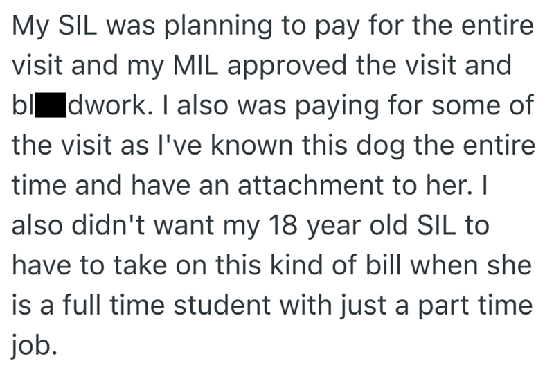 My SIL was planning to pay for the entire visit and my MIL approved the visit and blodwork. I also was paying for some of the visit as I've known this dog the entire time and have an attachment to her. I also didn't want my 18 year old SIL to have to take on this kind of bill when she is a full time student with just a part time job.