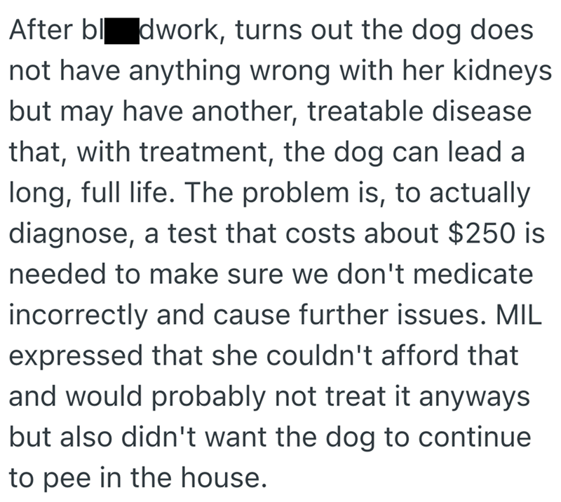 After blodwork, turns out the dog does not have anything wrong with her kidneys but may have another, treatable disease that, with treatment, the dog can lead a long, full life. The problem is, to actually diagnose, a test that costs about $250 is needed to make sure we don't medicate incorrectly and cause further issues. MIL expressed that she couldn't afford that and would probably not treat it anyways but also didn't want the dog to continue to pee in the house.