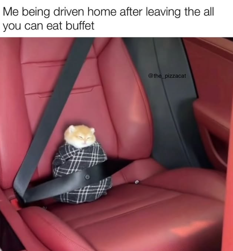 Me being driven home after leaving the all you can eat buffet @the_pizzacat