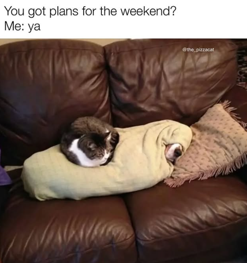 You got plans for the weekend? Me: ya @the_pizzacat