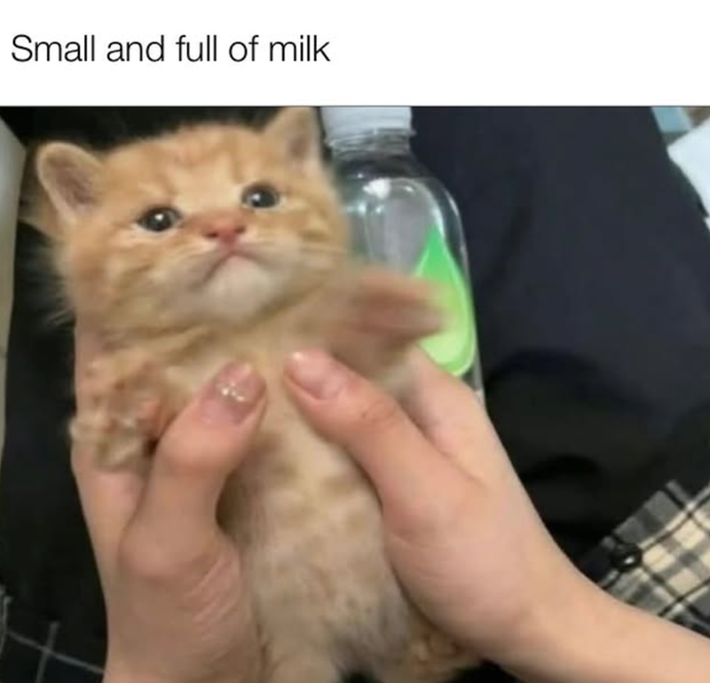 Small and full of milk