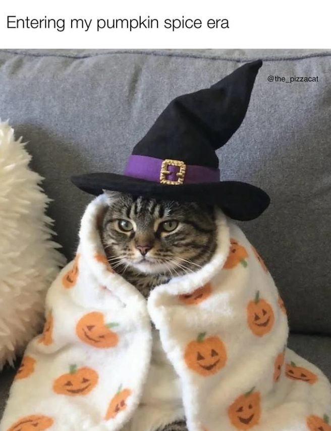 Entering my pumpkin spice era @the_pizzacat