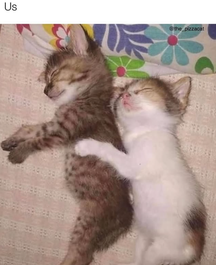 Us @the_pizzacat
