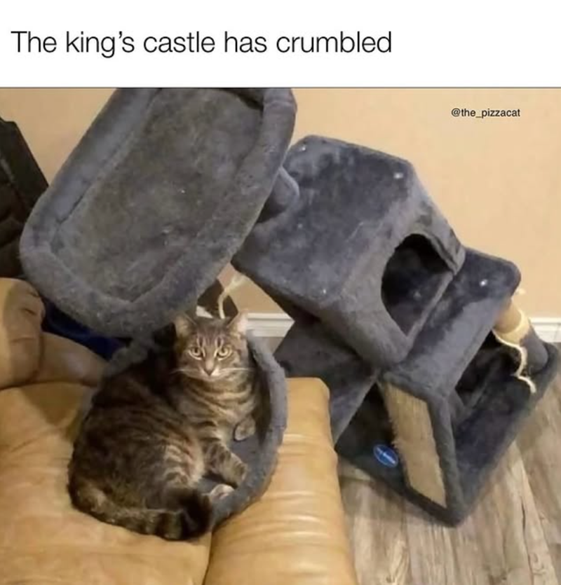 The king's castle has crumbled @the_pizzacat