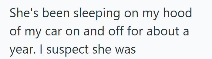 She's been sleeping on my hood. of my car on and off for about a year. I suspect she was