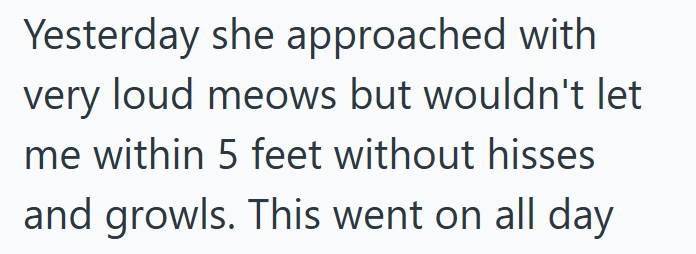 Yesterday she approached with very loud meows but wouldn't let me within 5 feet without hisses and growls. This went on all day