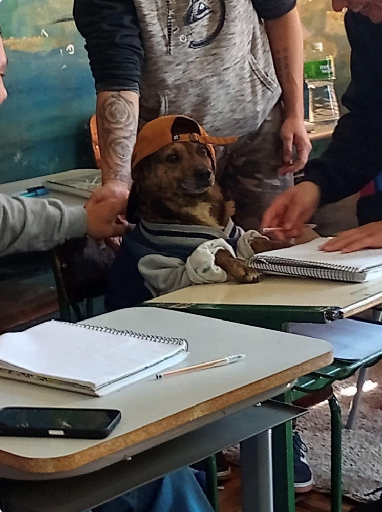 Ο