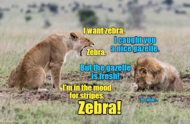 Cheezburger Image 10629333504
