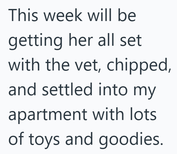 This week will be getting her all set with the vet, chipped, and settled into my apartment with lots of toys and goodies.