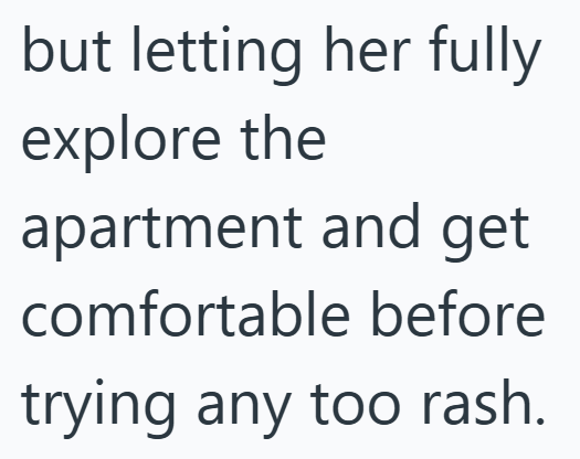 but letting her fully explore the apartment and get comfortable before trying any too rash.