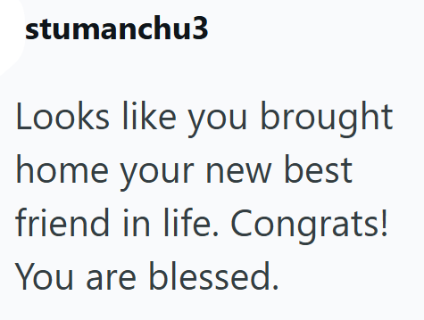 stumanchu3 Looks like you brought home your new best friend in life. Congrats! You are blessed.