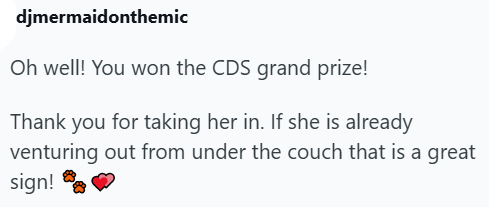 djmermaidonthemic Oh well! You won the CDS grand prize! Thank you for taking her in. If she is already venturing out from under the couch that is a great sign!