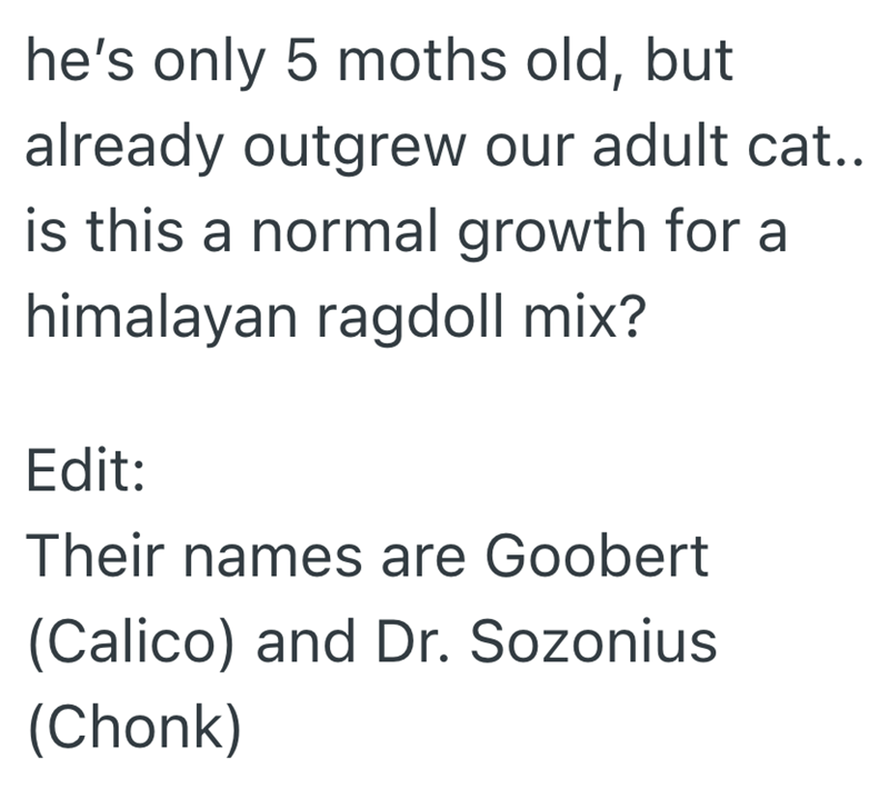 he's only 5 moths old, but already outgrew our adult cat.. is this a normal growth for a himalayan ragdoll mix? Edit: Their names are Goobert (Calico) and Dr. Sozonius (Chonk)