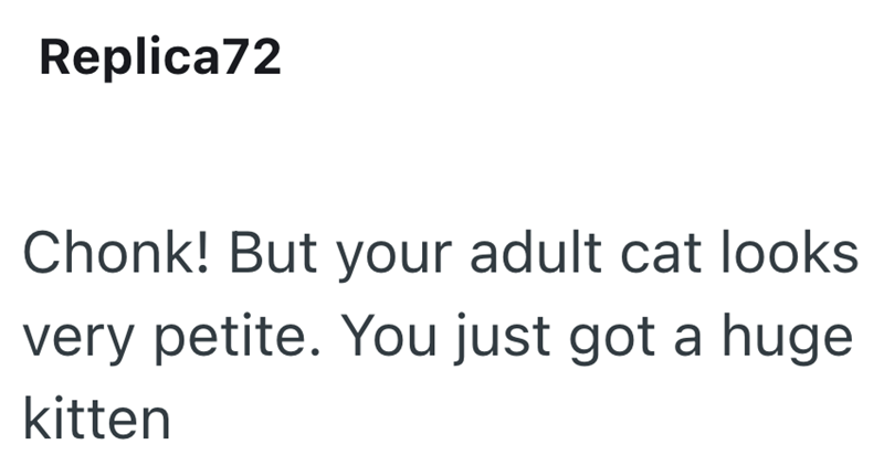 Replica72 Chonk! But your adult cat looks very petite. You just got a huge kitten