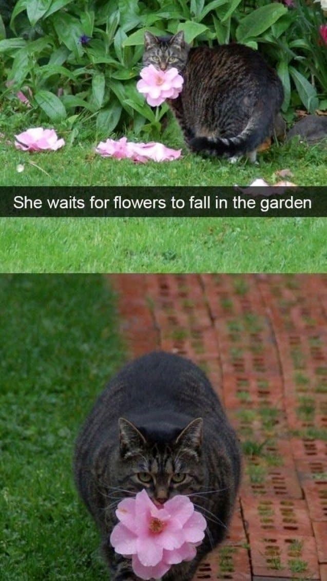 She waits for flowers to fall in the garden