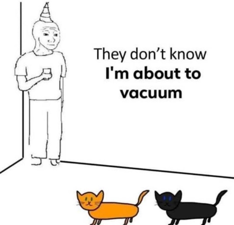 They don't know I'm about to vacuum