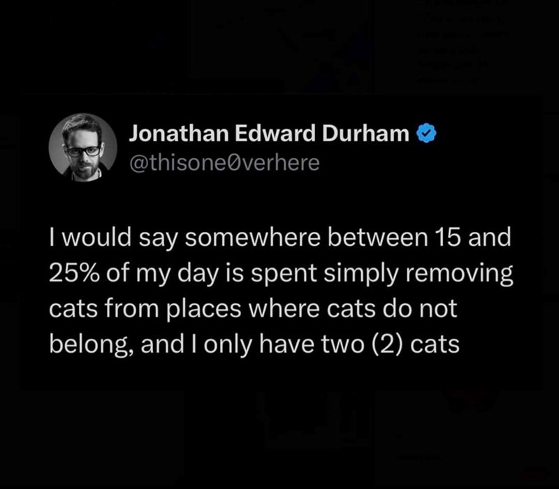 Jonathan Edward Durham @thisone@verhere I would say somewhere between 15 and 25% of my day is spent simply removing cats from places where cats do not belong, and I only have two (2) cats