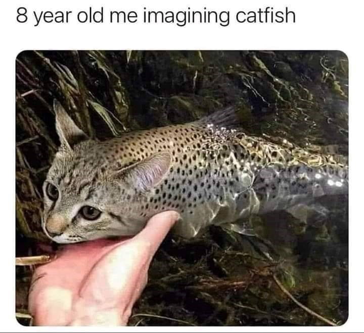 8 year old me imagining catfish