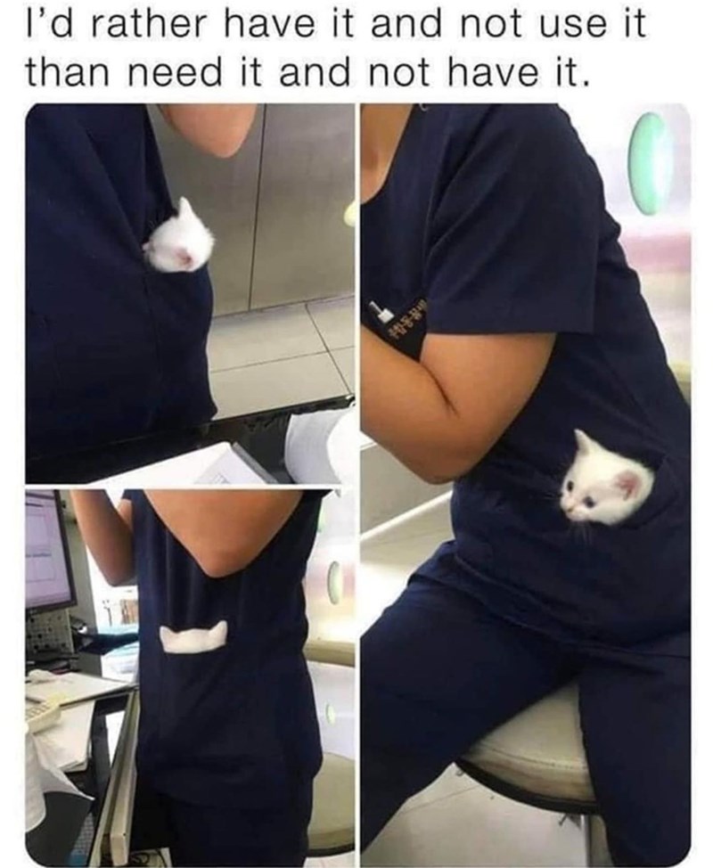 I'd rather have it and not use it than need it and not have it.