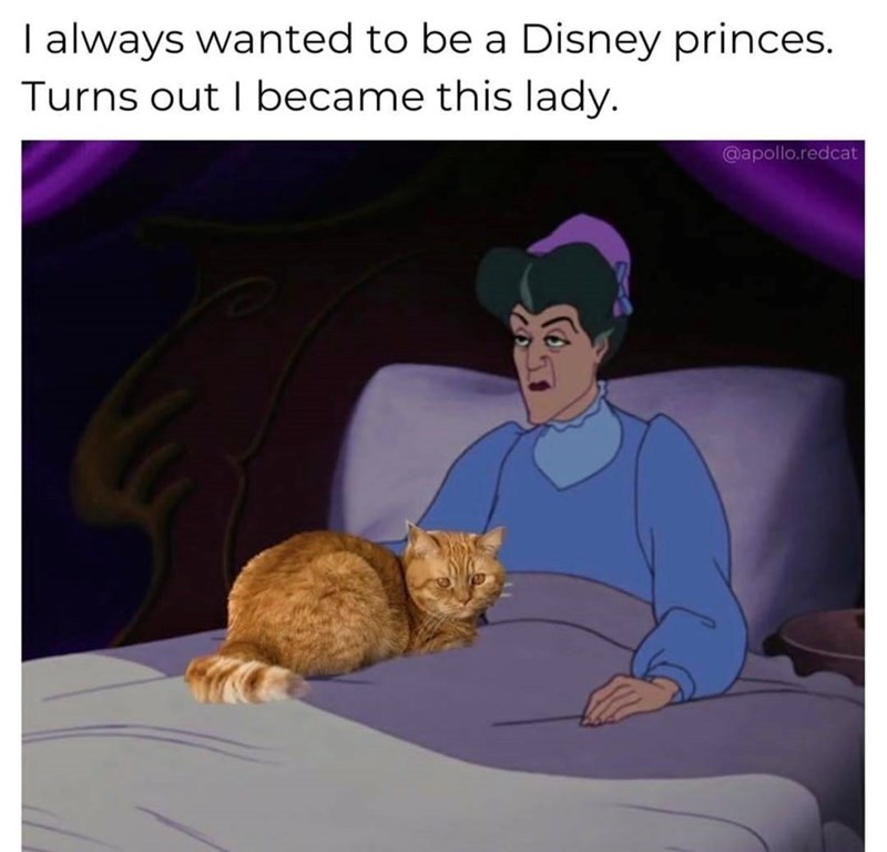 I always wanted to be a Disney princes. Turns out I became this lady. @apollo.redcat