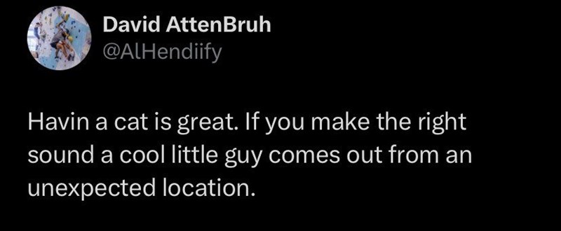 David AttenBruh @AlHendiify Havin a cat is great. If you make the right sound a cool little guy comes out from an unexpected location.