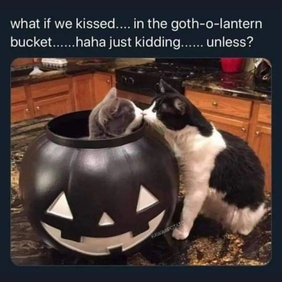 what if we kissed.... in the goth-o-lantern bucket......haha just kidding...... unless? KAWA POTATO