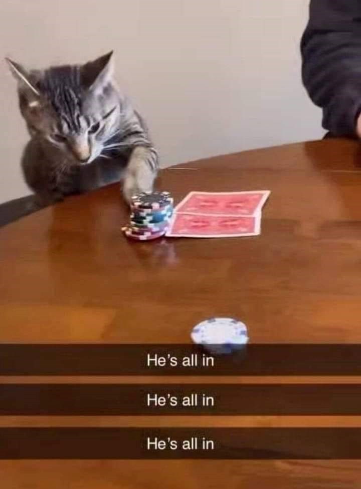 He's all in He's all in He's all in