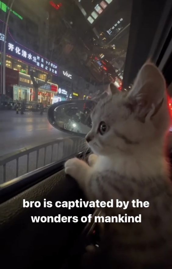 - 【开化清水佳 +vivc bro is captivated by the wonders of mankind
