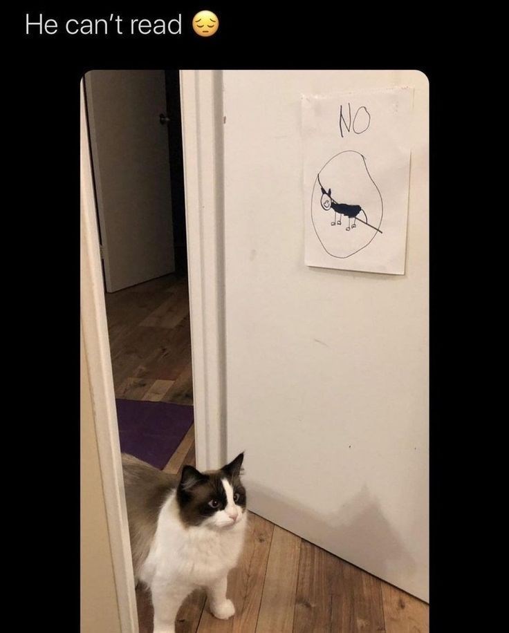He can't read NO