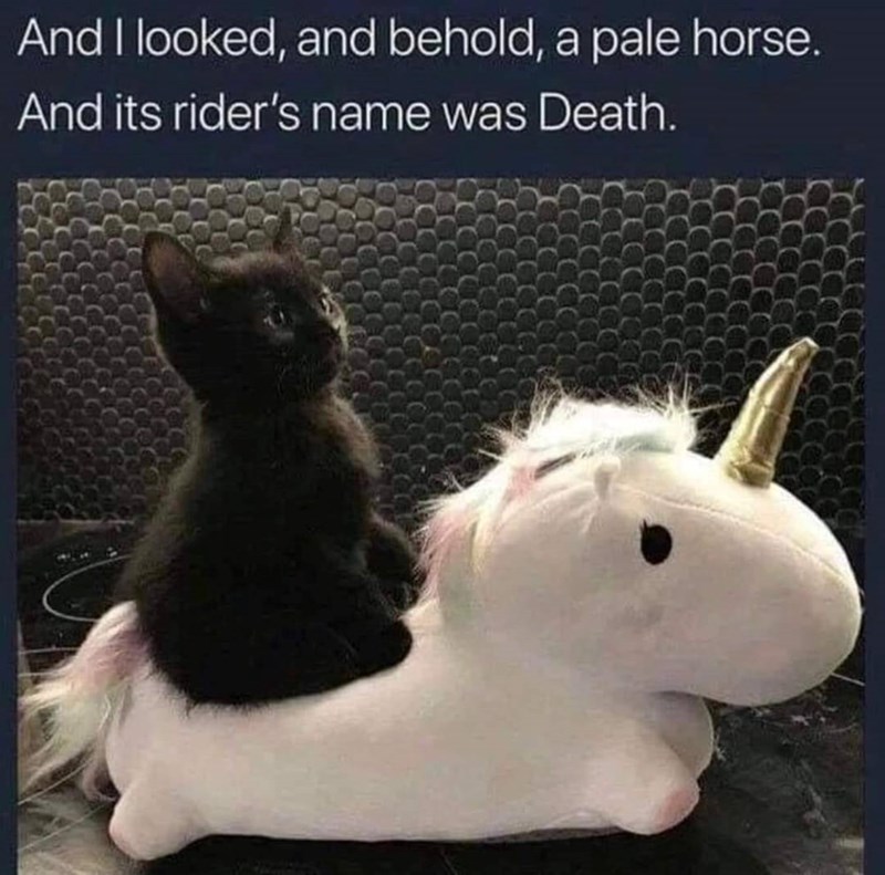 And I looked, and behold, a pale horse. And its rider's name was Death.