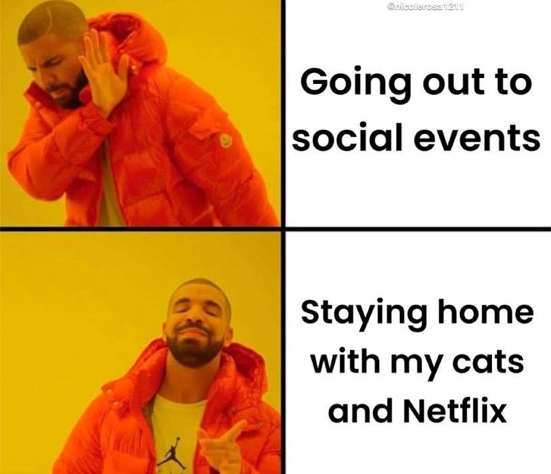 @nicolerosa1211 Going out to social events Staying home with my cats and Netflix