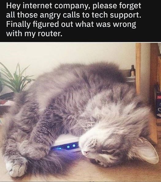 Hey internet company, please forget all those angry calls to tech support. Finally figured out what was wrong with my router.