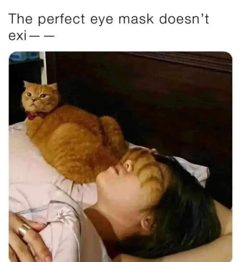 The perfect eye mask doesn't exi――