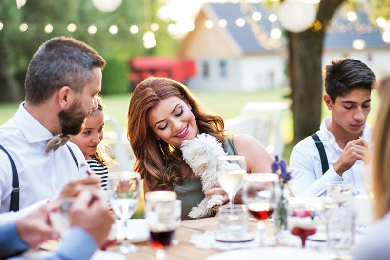 A bride smiles while enjoying a warm moment with guests during an intimate outdoor wedding dinner.