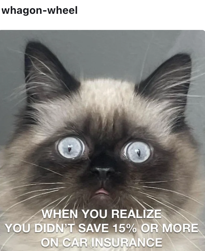 whagon-wheel WHEN YOU REALIZE YOU DIDN'T SAVE 15% OR MORE ON CAR INSURANCE