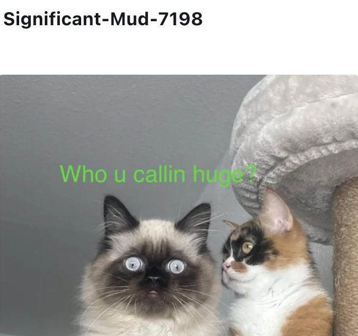 Significant-Mud-7198 Who u callin huge