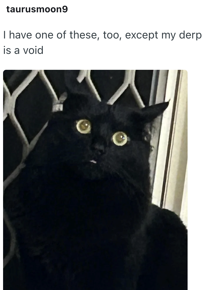 taurusmoon9 I have one of these, too, except my derp is a void