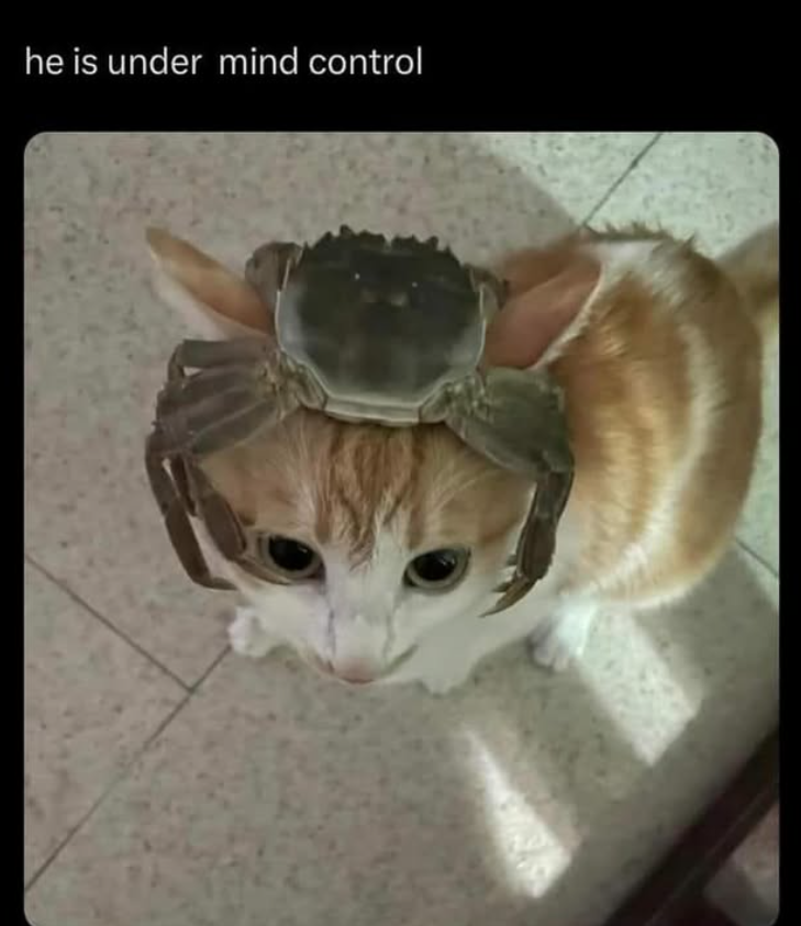 he is under mind control