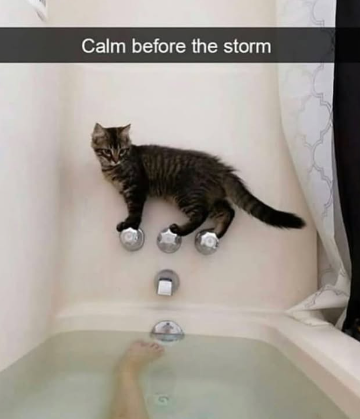 Calm before the storm