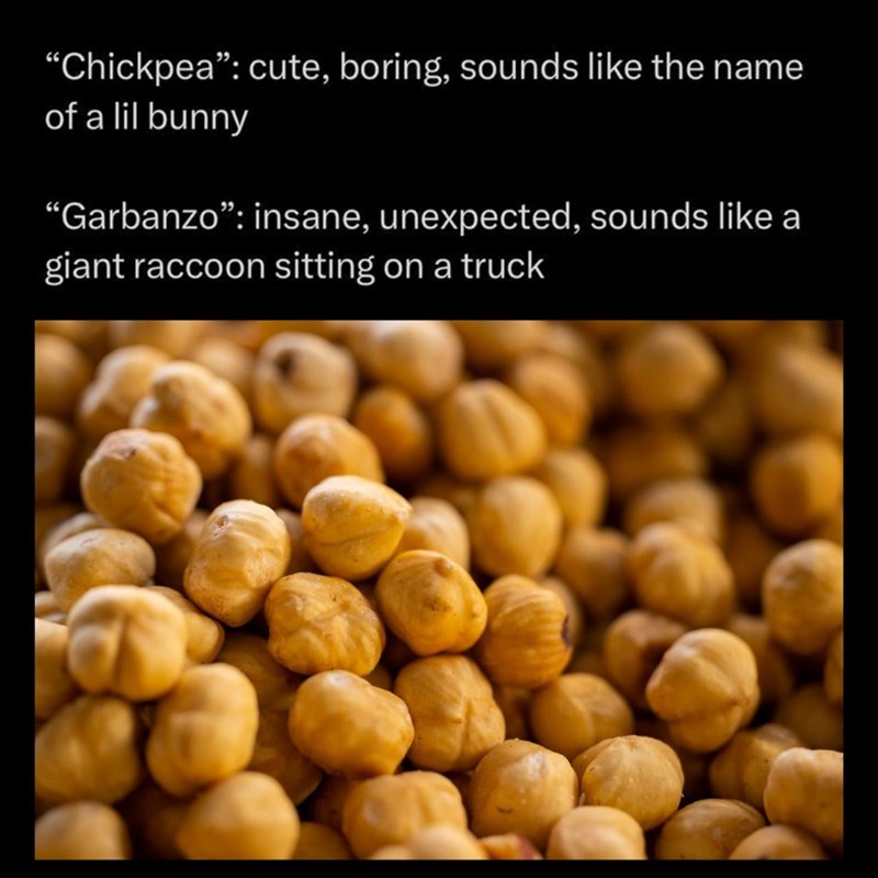 "Chickpea": cute, boring, sounds like the name of a lil bunny "Garbanzo": insane, unexpected, sounds like a giant raccoon sitting on a truck