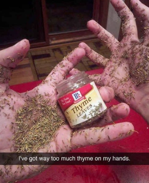 Taste Thyme LEAVES I've got way too much thyme on my hands.
